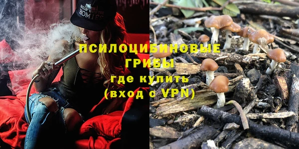 каннабис Гусев